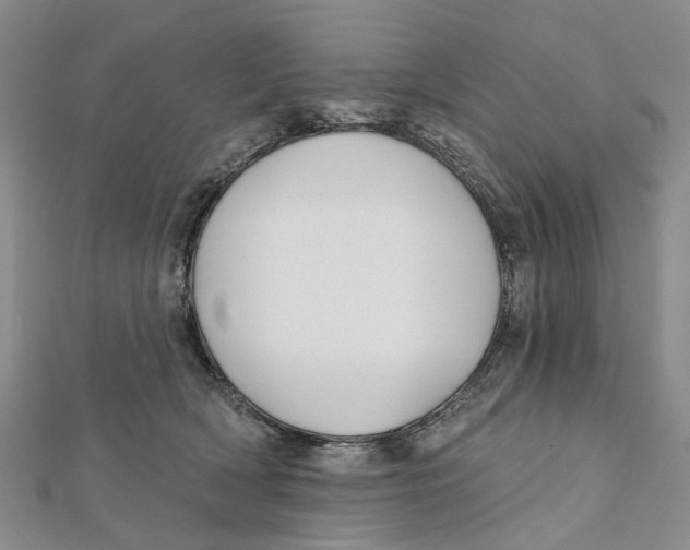 X0000112060418200909011006