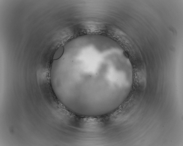 X0000112060419200909011006