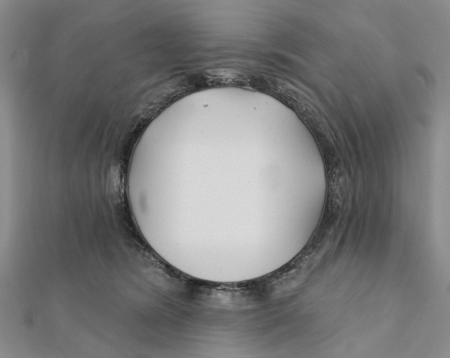 X0000112060420200909011006