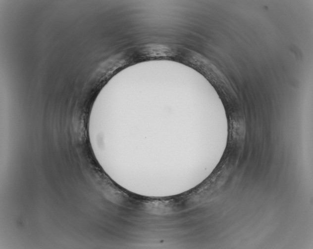 X0000112060422200909011006