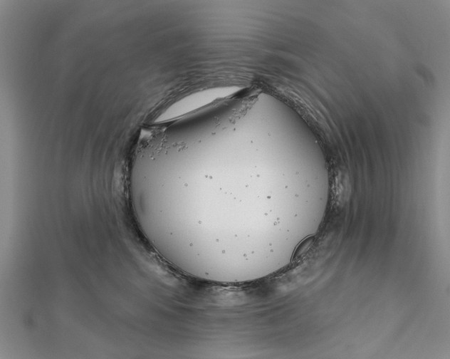 X0000112060424200909011006