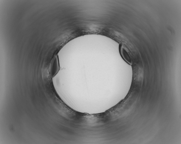 X0000112060425200909011006