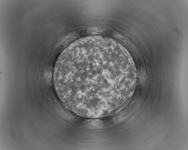 X0000112060427200909011006