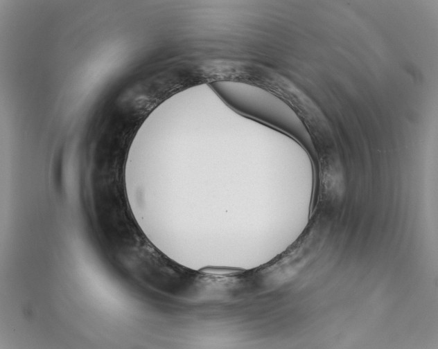 X0000112060429200909011006