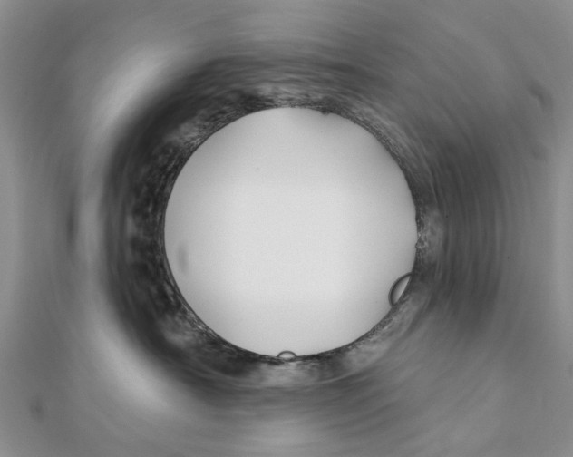 X0000112060430200909011006