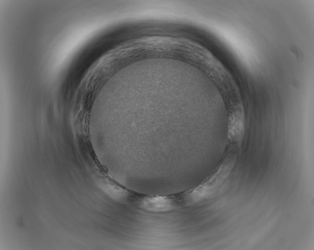 X0000112060431200909011006