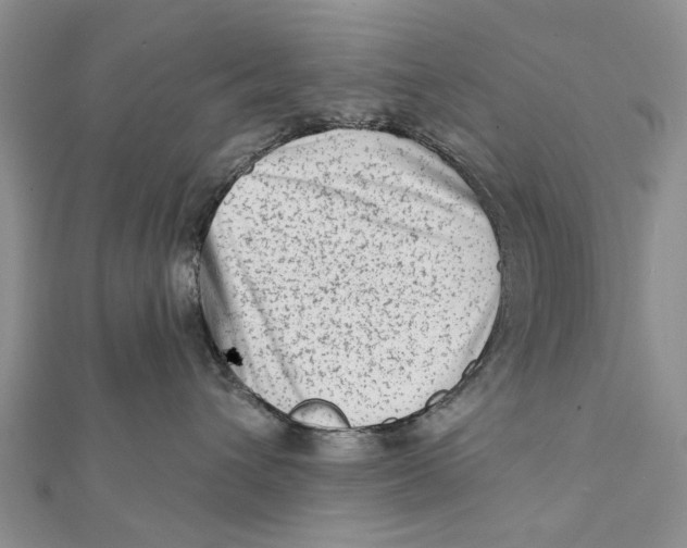 X0000112060432200909011006