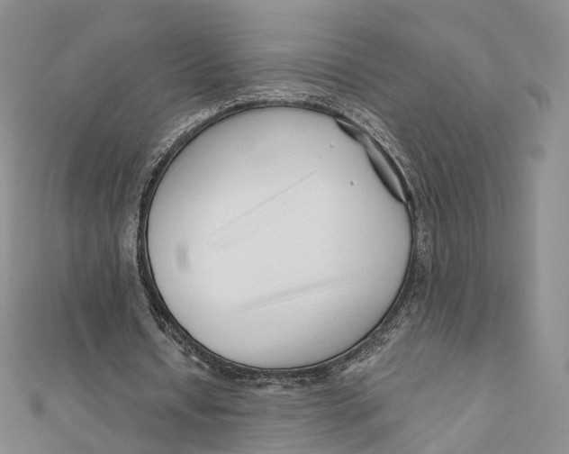 X0000112060434200909011005