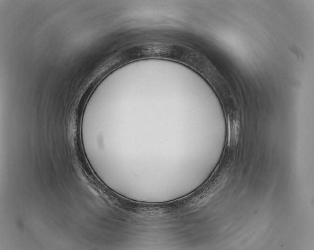 X0000112060435200909011005