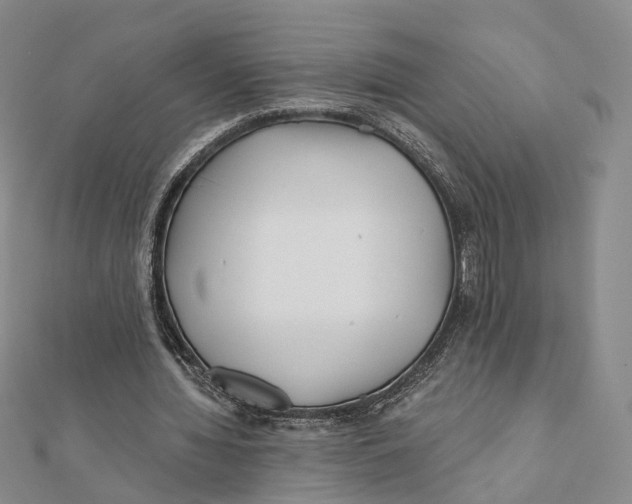 X0000112060436200909011005