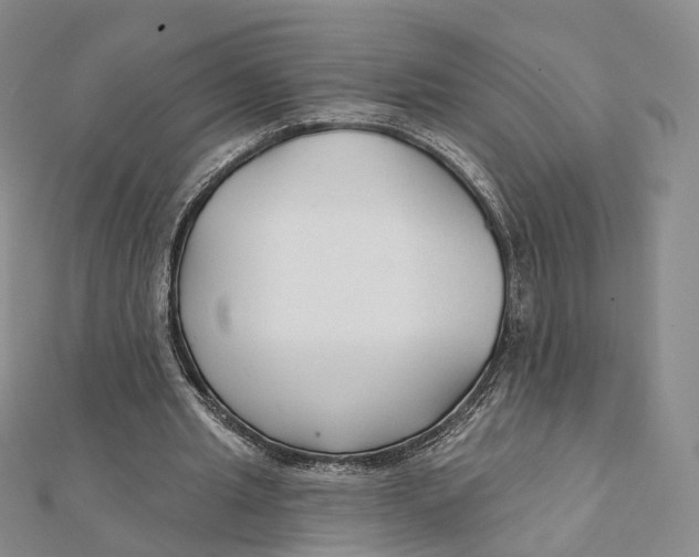X0000112060437200909011005