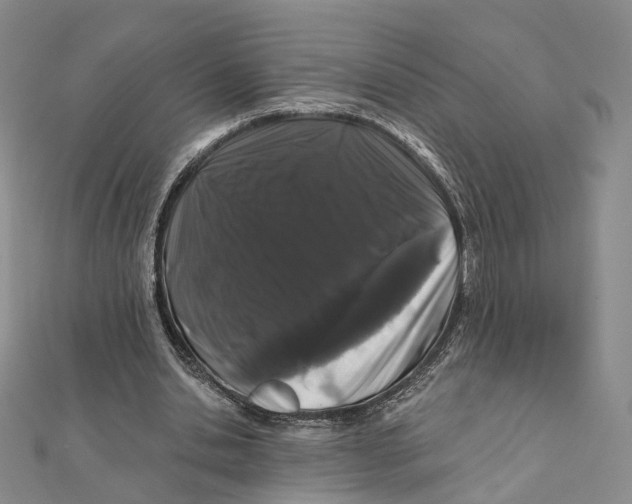 X0000112060438200909011005