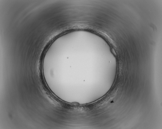 X0000112060439200909011005