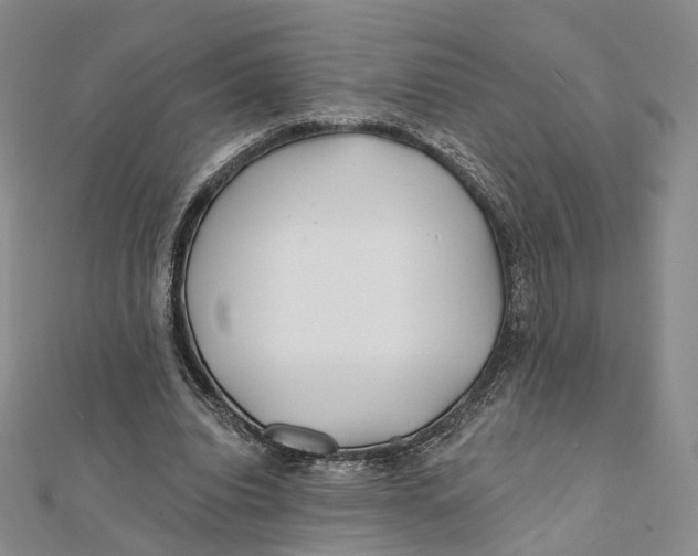 X0000112060440200909011005