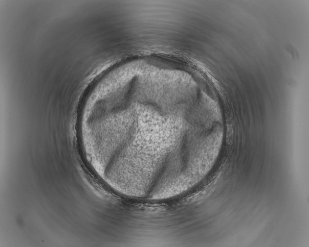 X0000112060443200909011005