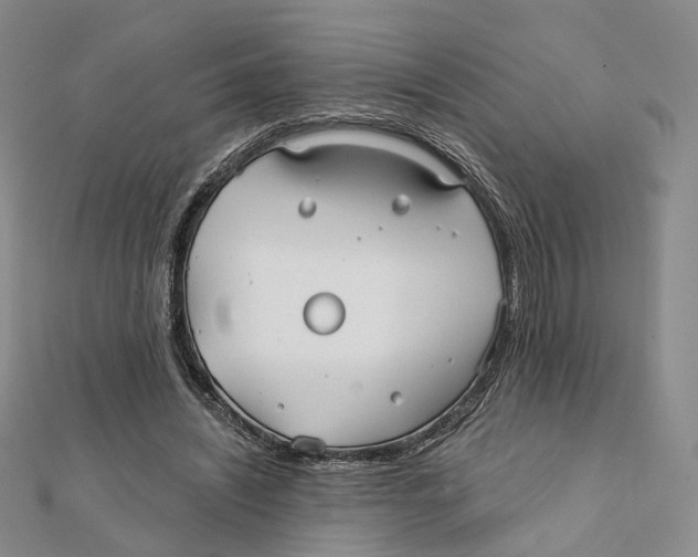 X0000112060444200909011005