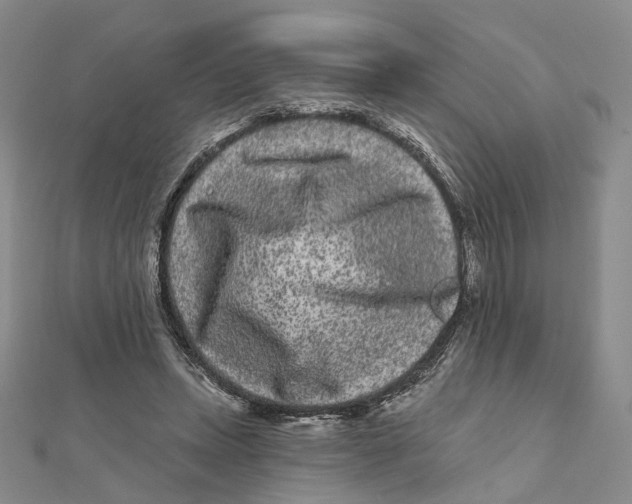 X0000112060447200909011006