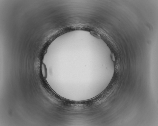 X0000112060448200909011006