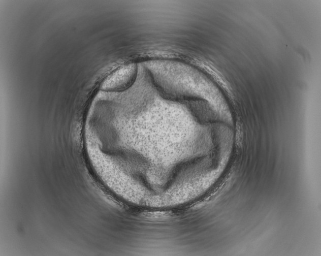 X0000112060449200909011006