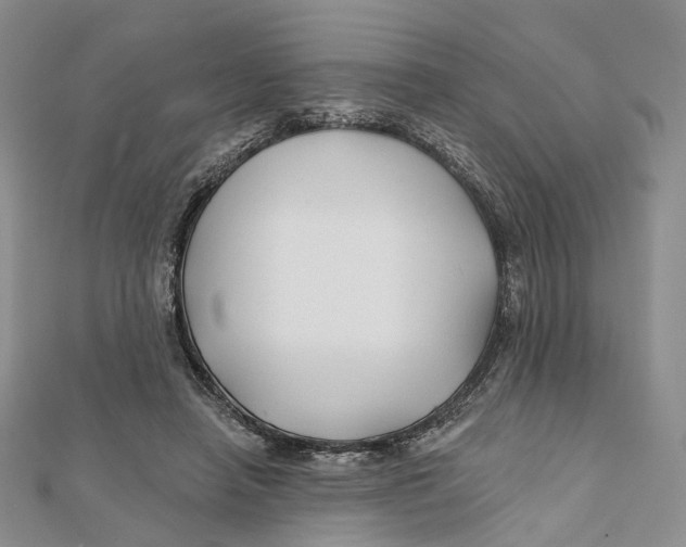 X0000112060450200909011006