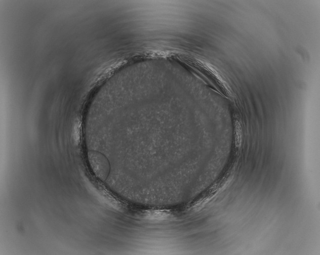 X0000112060451200909011006