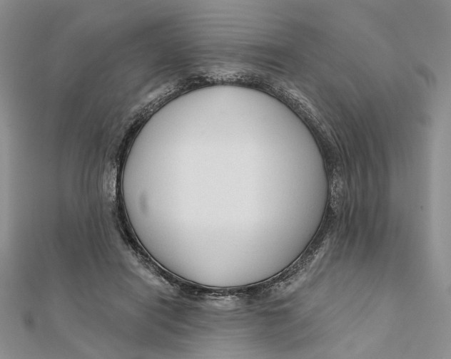 X0000112060454200909011006