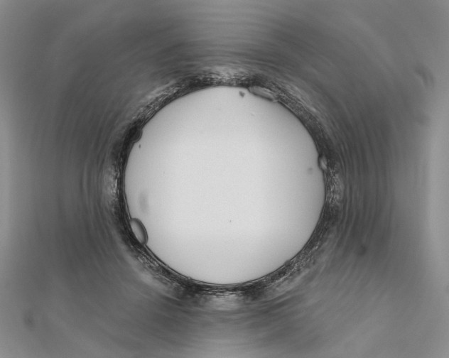 X0000112060456200909011006