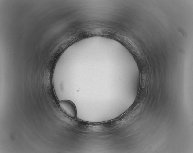 X0000112060457200909011006