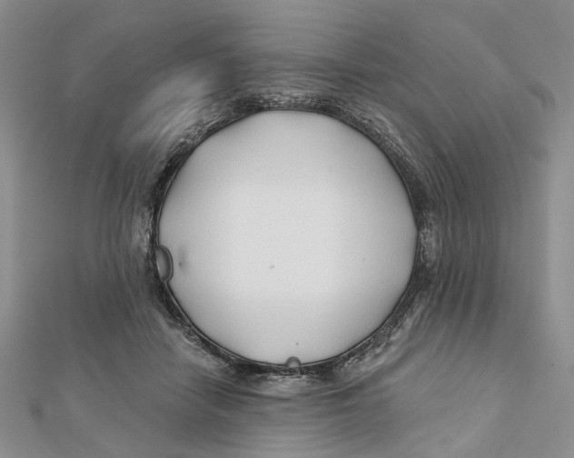 X0000112060458200909011006