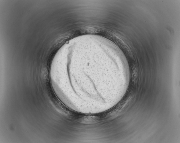 X0000112060459200909011006