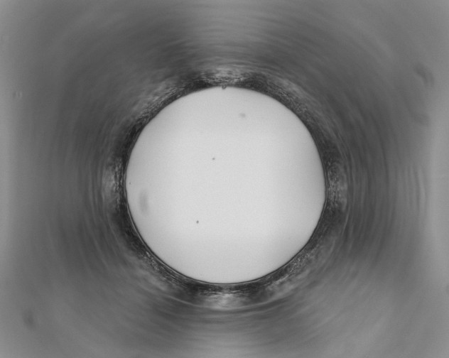 X0000112060460200909011006