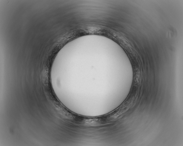 X0000112060461200909011006