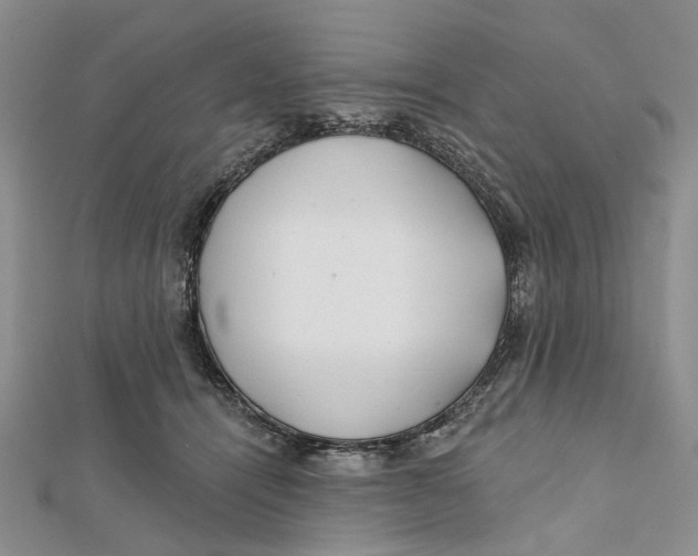 X0000112060464200909011006