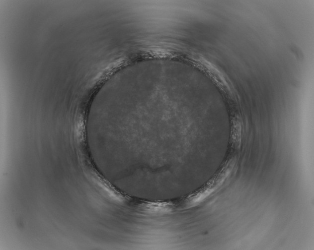 X0000112060465200909011006