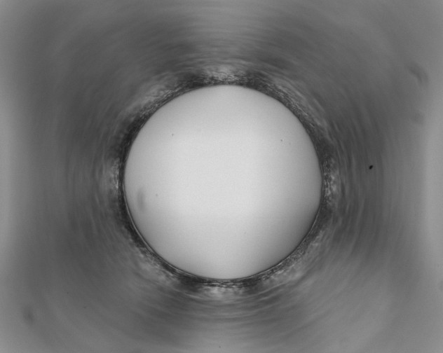 X0000112060466200909011006