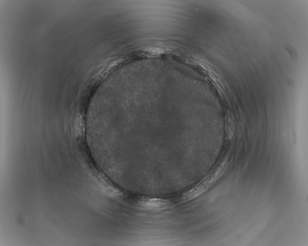 X0000112060467200909011006