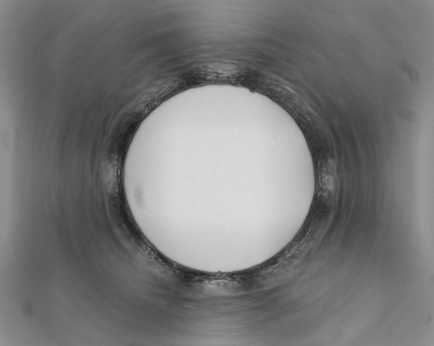 X0000112060468200909011006