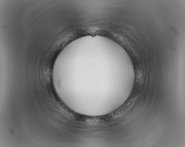 X0000112060470200909011006