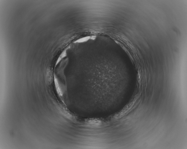 X0000112060471200909011006