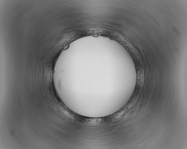 X0000112060474200909011006