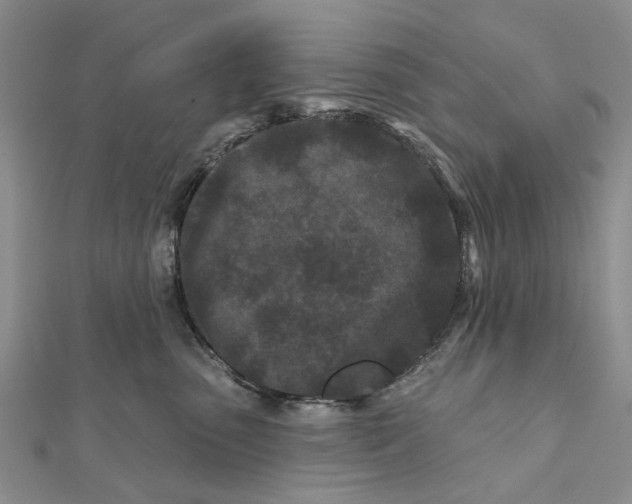 X0000112060475200909011006