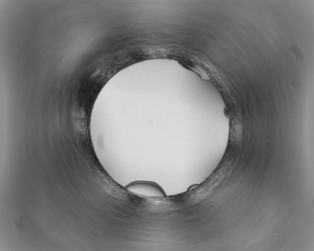 X0000112060477200909011006