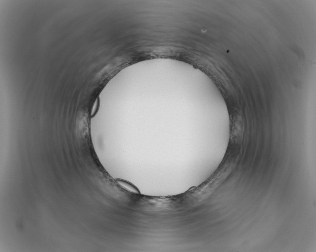 X0000112060478200909011006