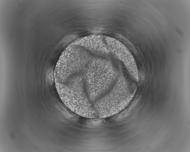 X0000112060479200909011006