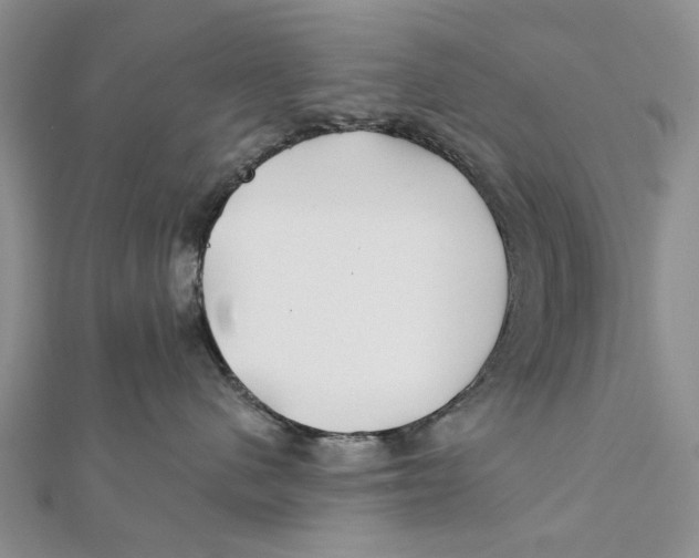 X0000112060480200909011006