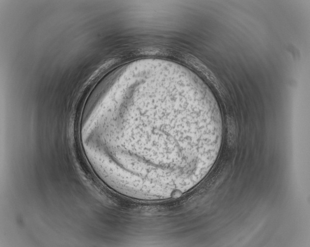 X0000112060482200909011005