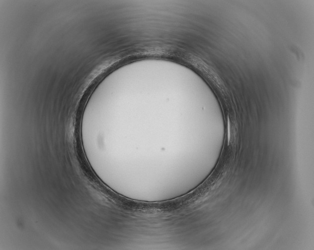 X0000112060483200909011005