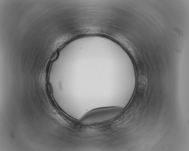 X0000112060485200909011005