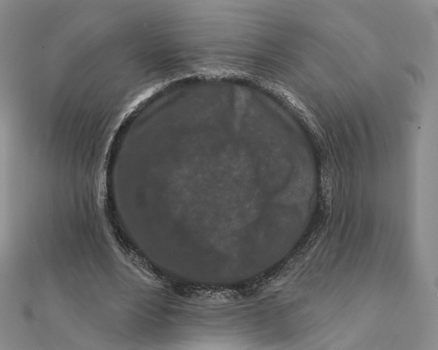 X0000112060488200909011005