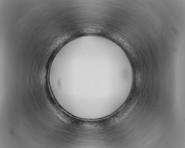 X0000112060490200909011005